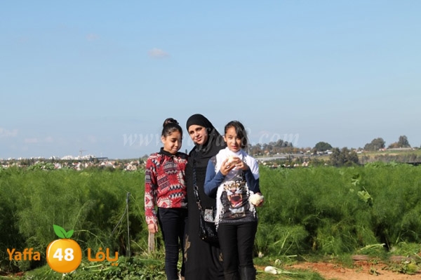 re7la tolkarem (7).JPG